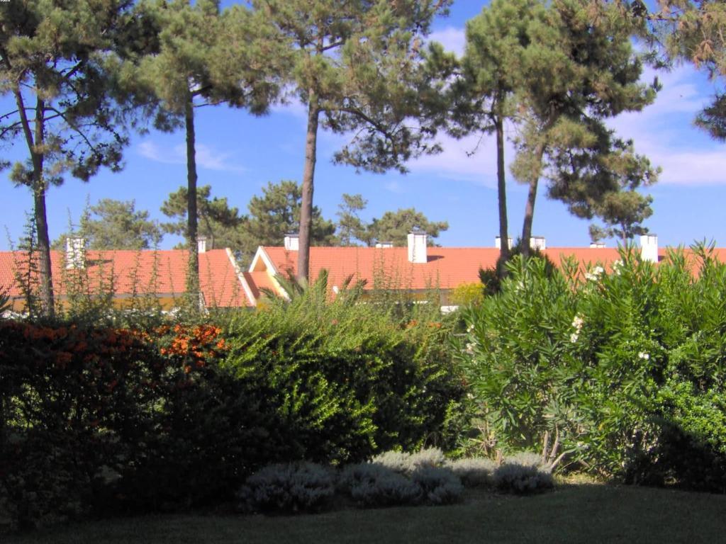 Aldeamento Turistico Casas Da