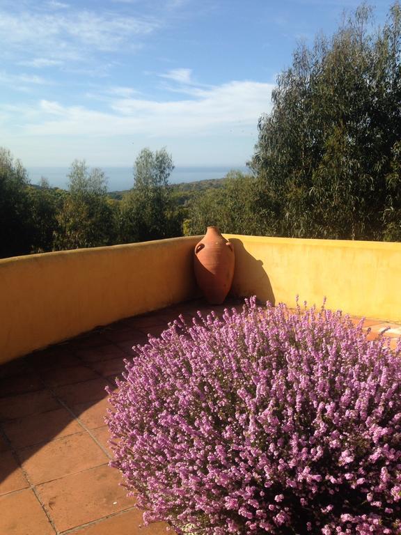 Quinta Da Faianca Guest house Almocageme