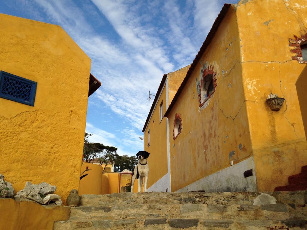 Quinta Da Faianca *