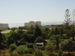 Maralvor * Alvor