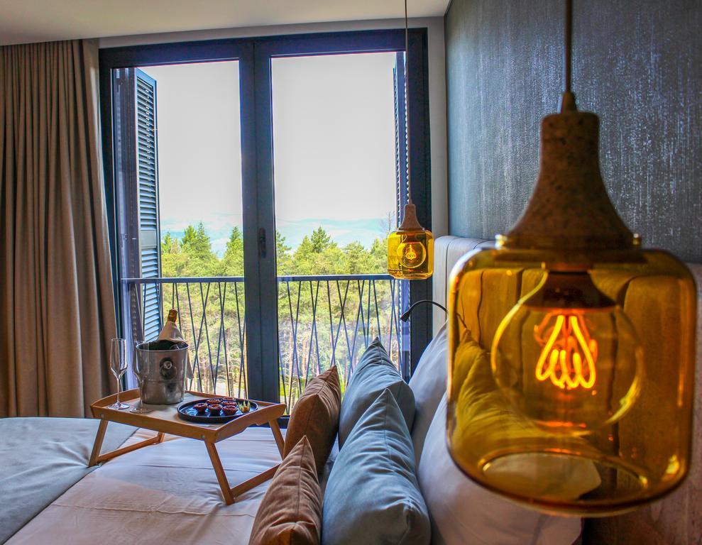 Pena Park Hotel Hotel