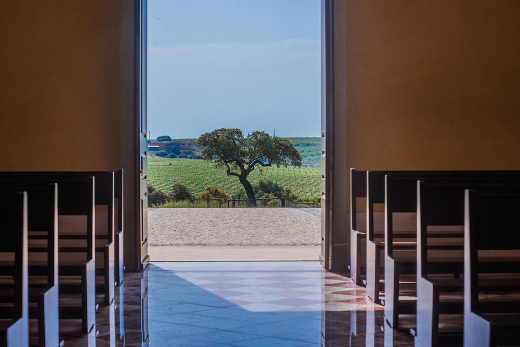 Gale Alentejo Vineyard - Clube De Campo Albernoa
