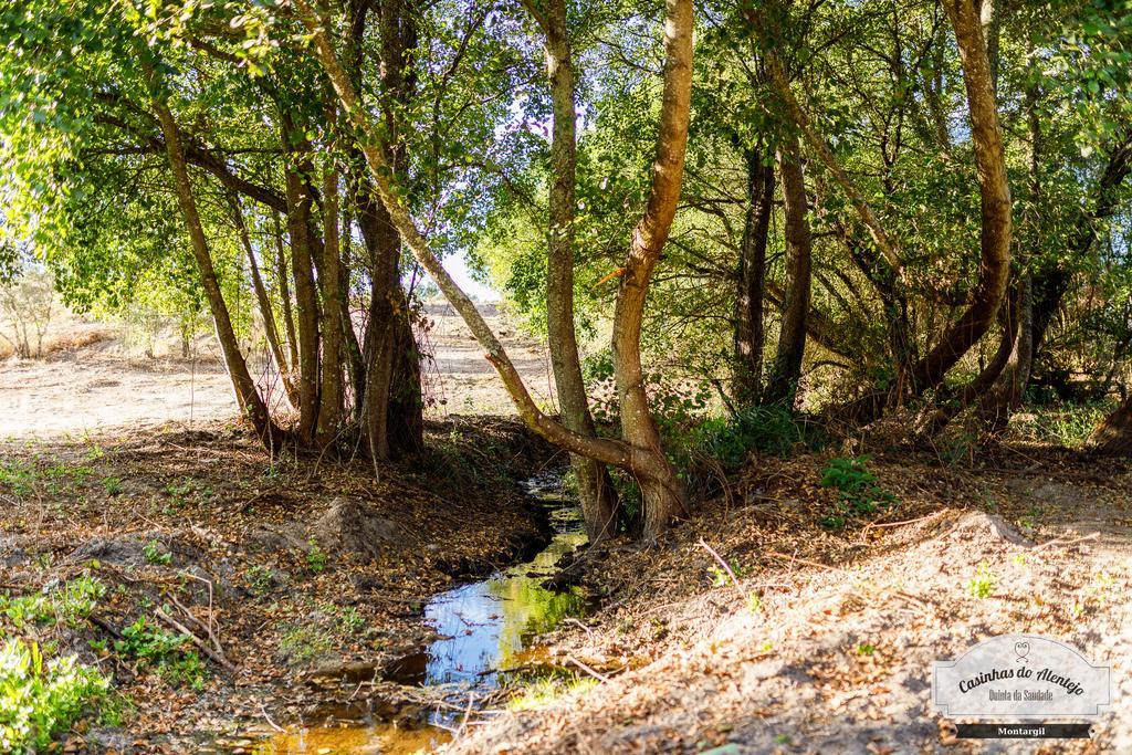 Quinta Da Saudade Ponte de Sor