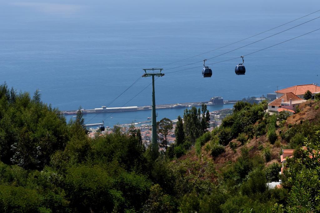 Ourmadeira - Babosas Village, Gardenias And Greenspaces