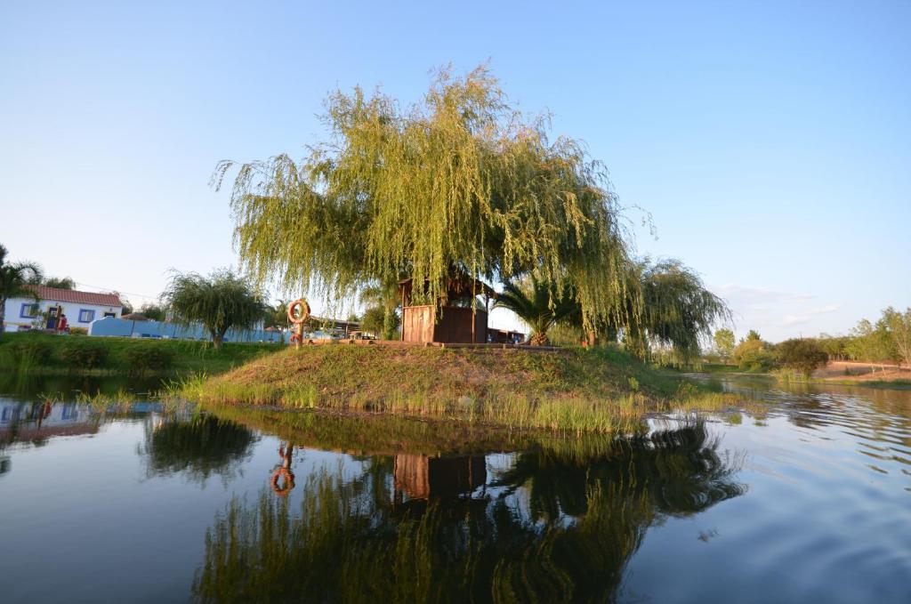Farm stay Herdade Do Sardanito Da Frente *