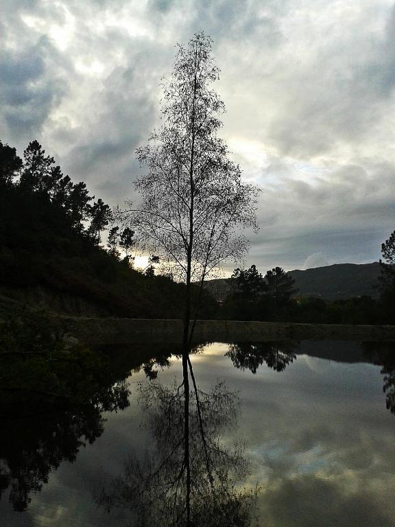 Quinta Da Penela *