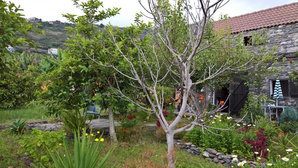 Paul Farm Holiday home Arco da Calheta (Madeira)