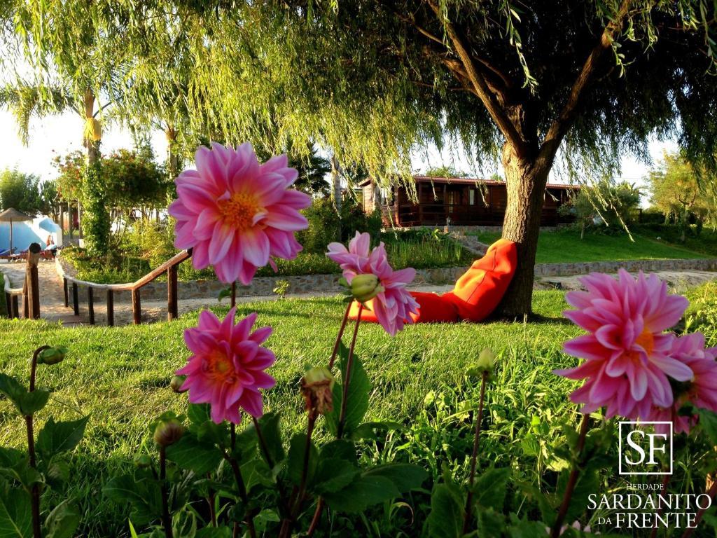 Herdade Do Sardanito Da Frente Farm stay *