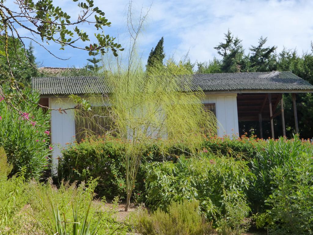Guest house Ha Mar Ao Luar