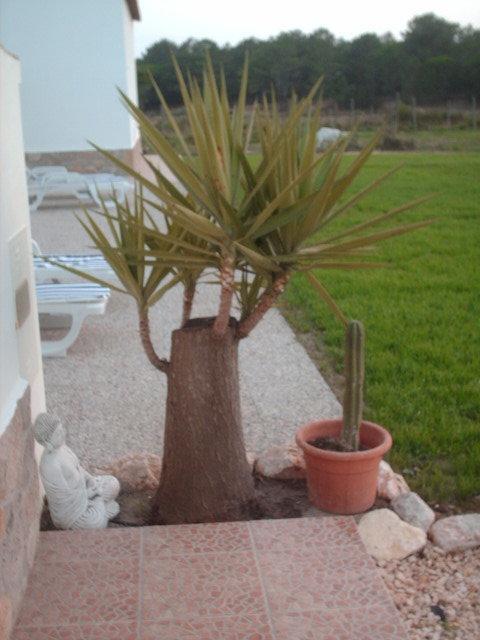 Quinta Da Bunheira *