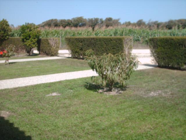 Quinta Da Bunheira Country house Rogil