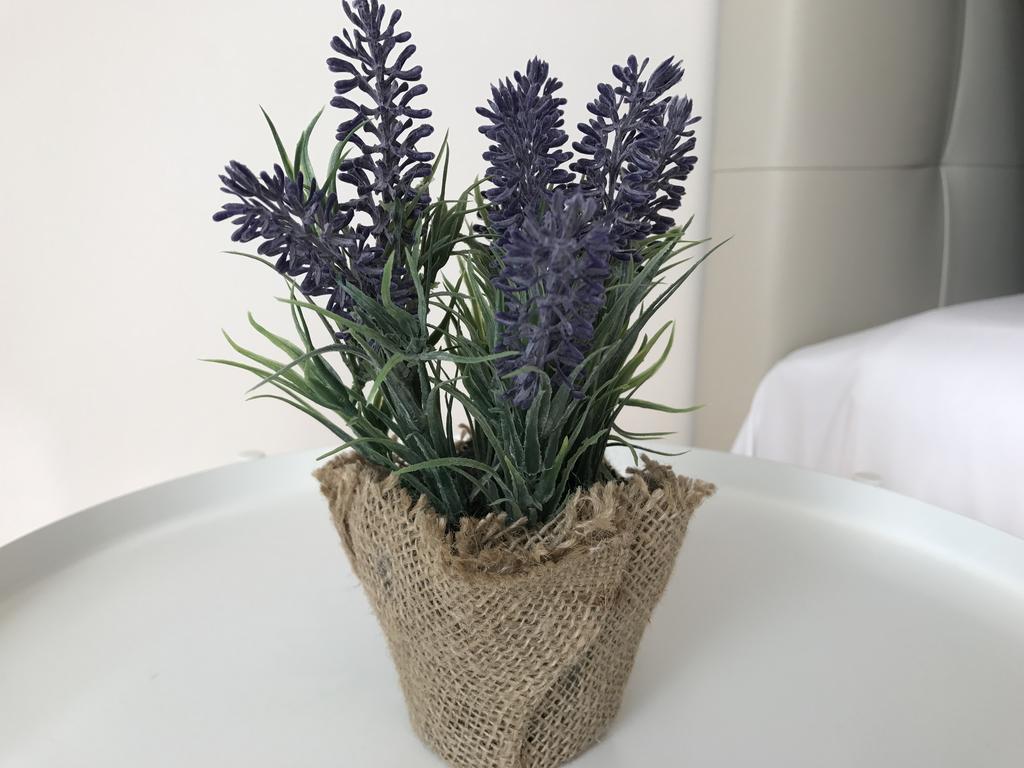 Guest house Mytrip Porto