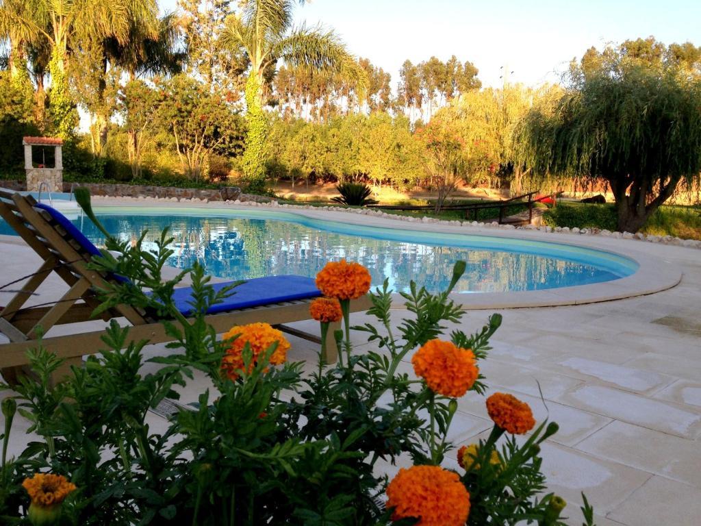 Farm stay Herdade Do Sardanito Da Frente