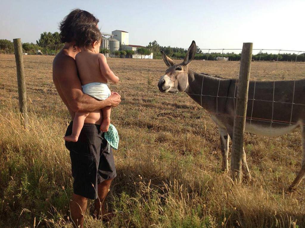 Herdade Do Sardanito Da Frente Farm stay *