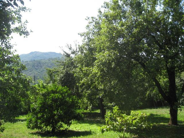 Casa rural Casa De Carcavelos Cabeceiras de Basto