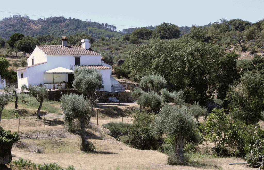 Refugio Da Maceira Holiday home Marvao (Portalegre)