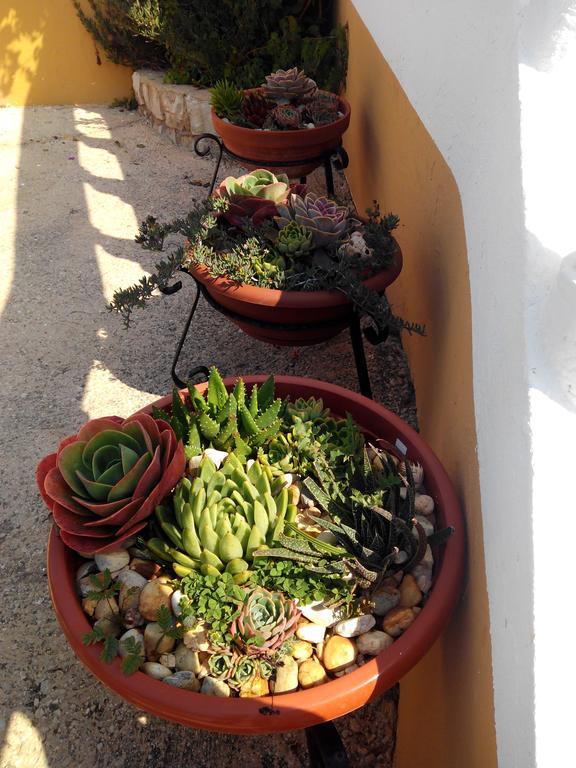 Vivenda Familia Pedro Guest house