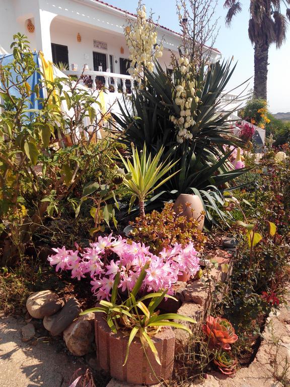 Vivenda Familia Pedro Guest house