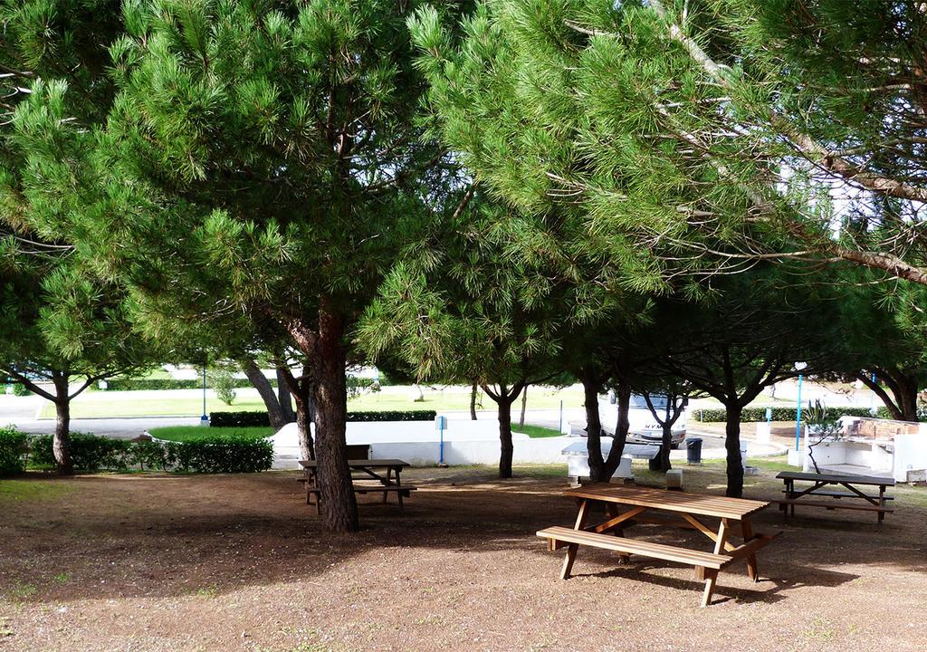 Campsite Parque De Campismo Orbitur Sagres