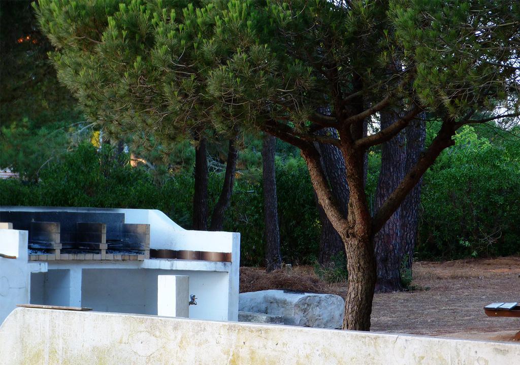 Campsite Parque De Campismo Orbitur 5*