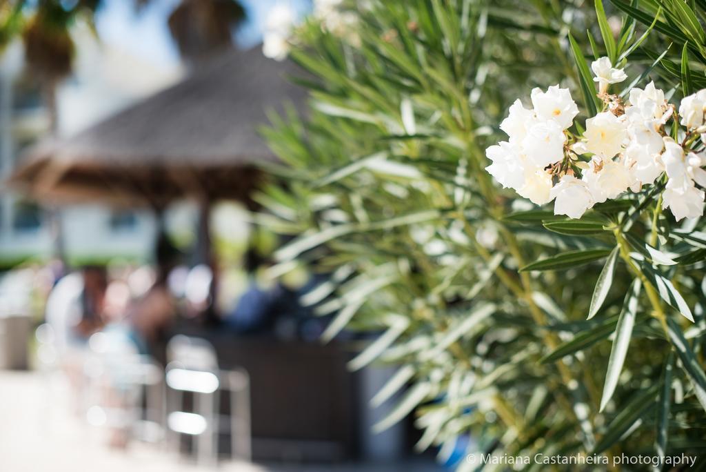 Yellow Garden Alvor