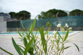 Bed & Breakfast Casa Pedra Nobre Nadadouro