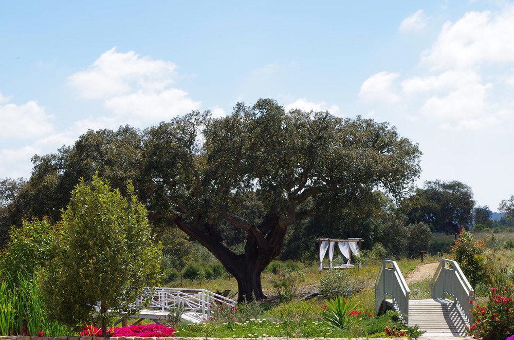 Herdade Do Amarelo Nature & Farm stay