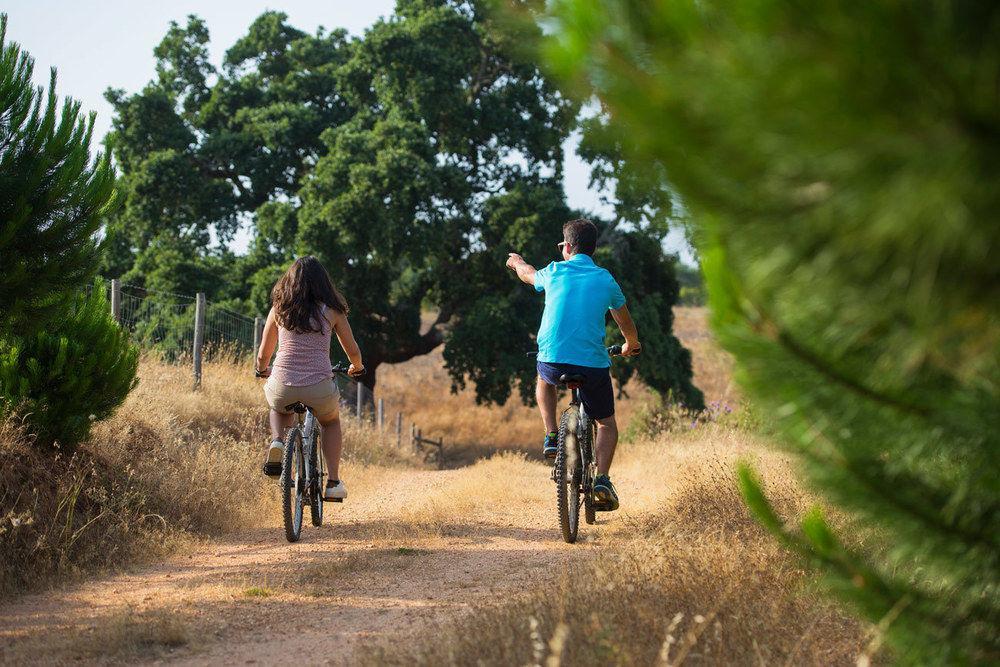 Farm stay Herdade Do Amarelo Nature &