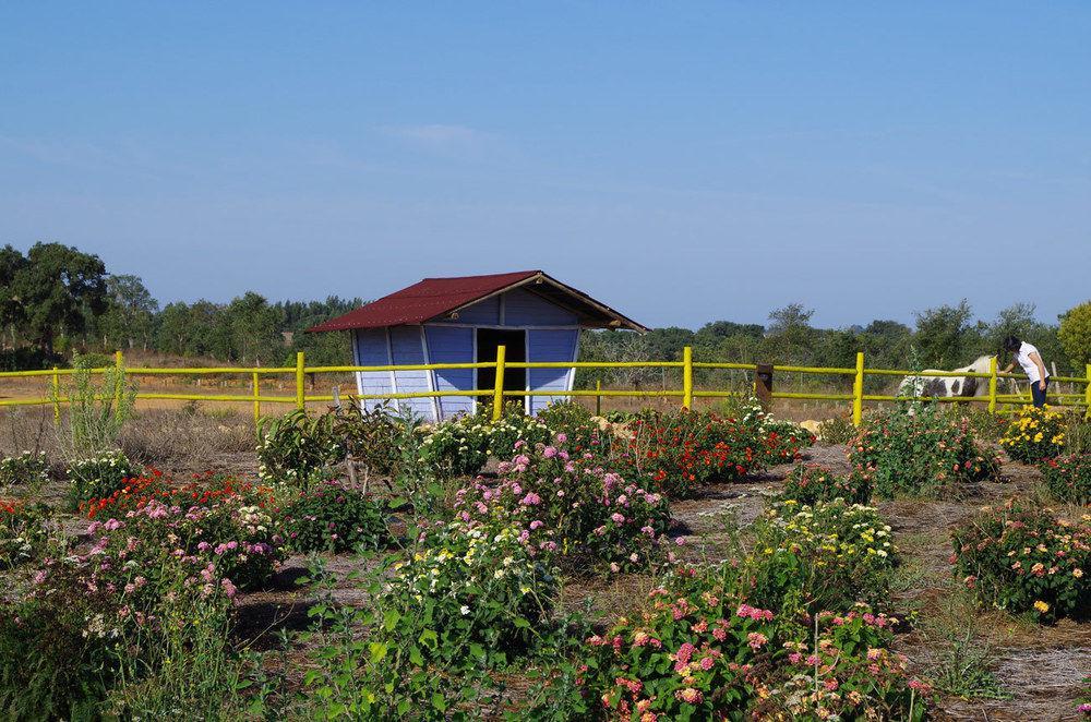 Herdade Do Amarelo Nature & Farm stay Vila Nova de Milfontes