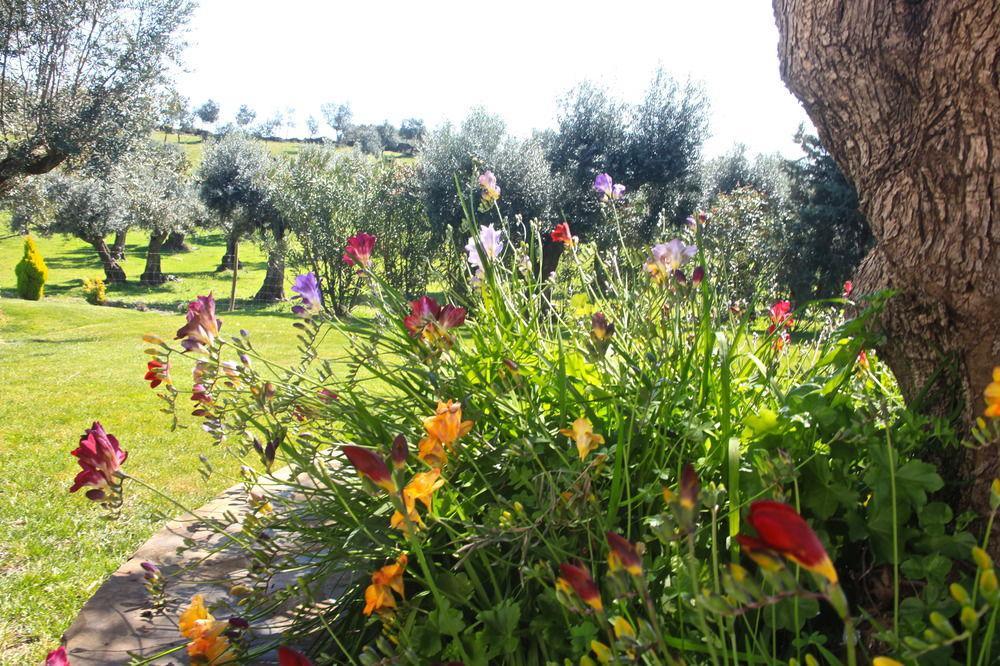 Hotel Herdade Agua D'alte 4*