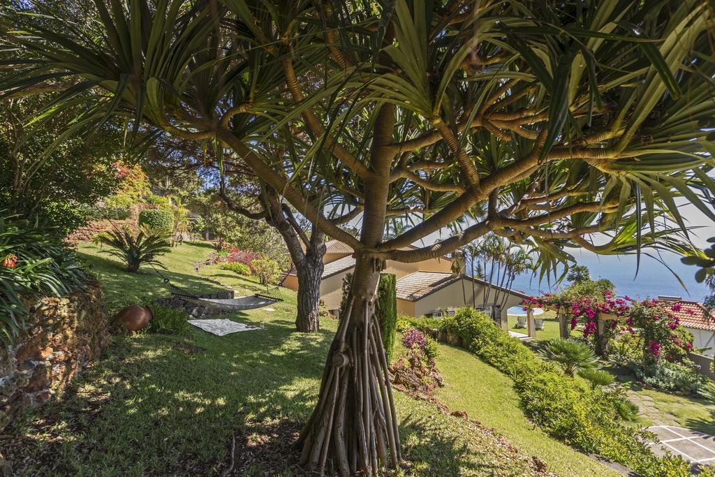 Villa Eucalipto By An Island