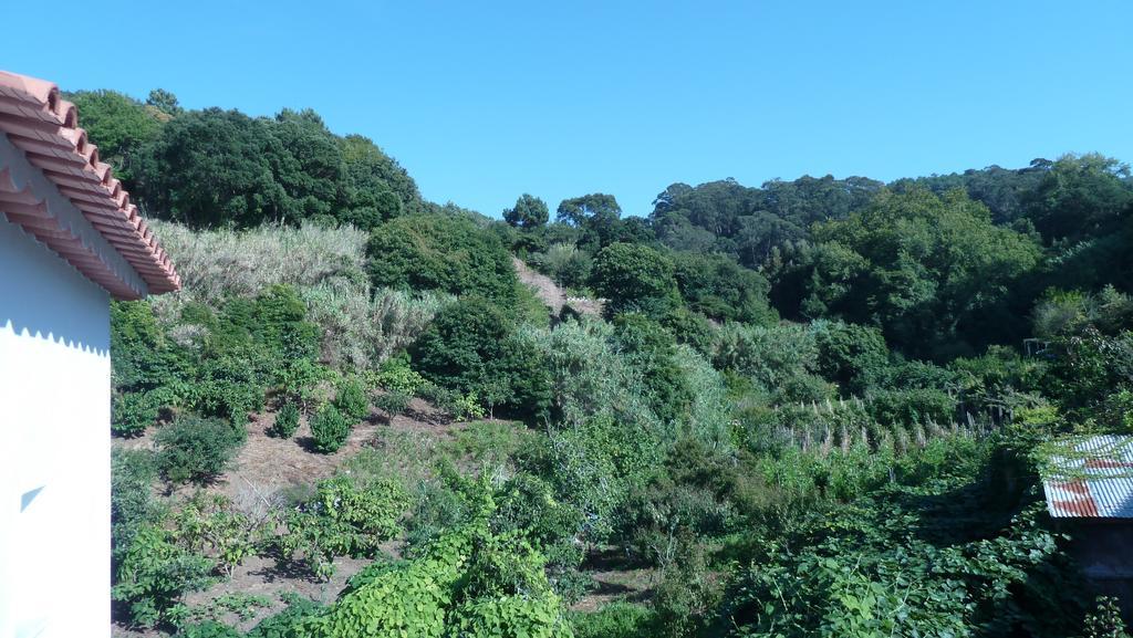 Ribeira Dos Marinheiros Azul Sintra