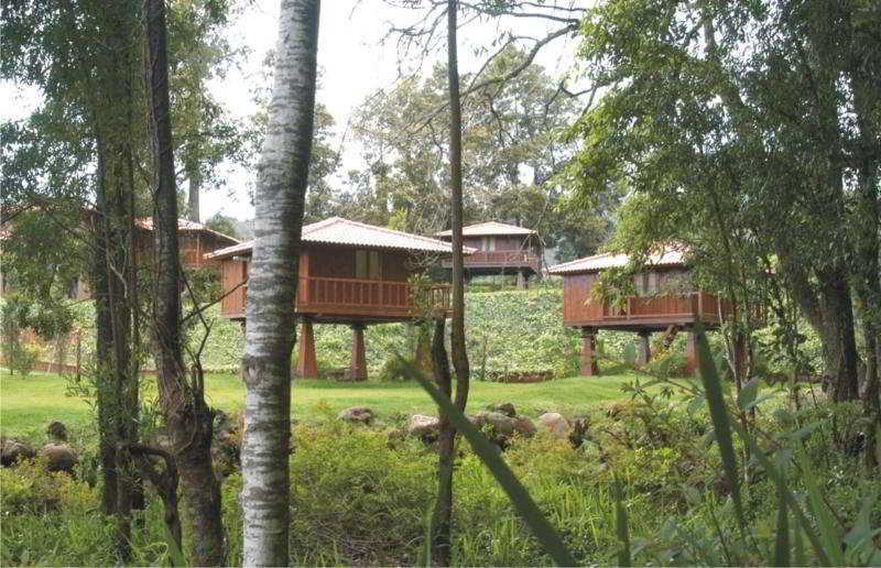 Holiday park Quinta Eiras Santo Antonio da Serra