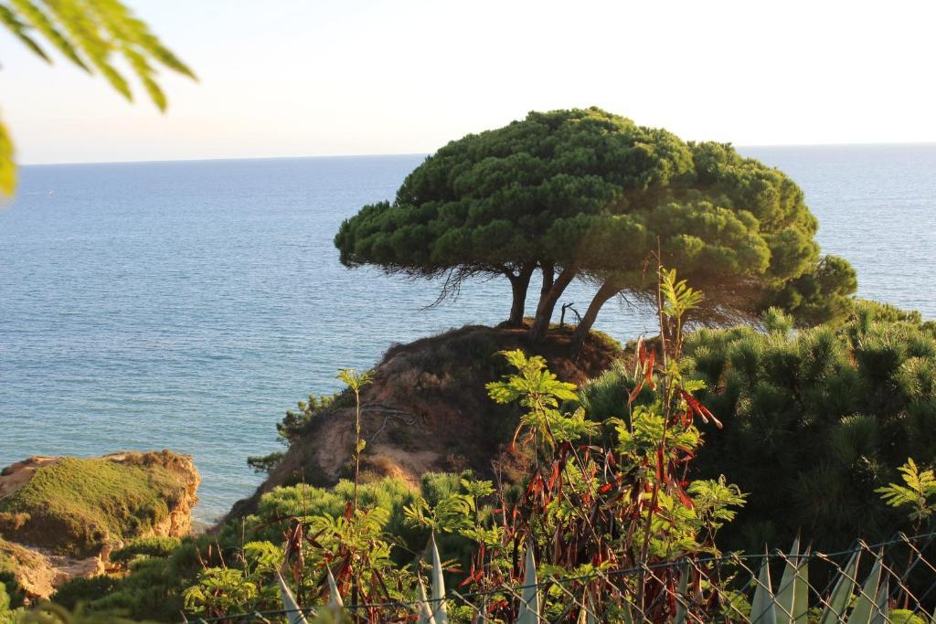 Alfagar Village Aparthotel Albufeira