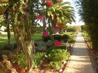 Da Lota - Beachfront Hotel 3*