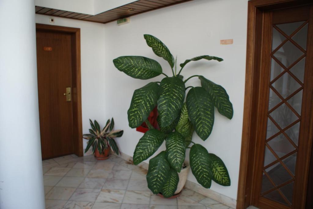 De Lobos Hotel 3*