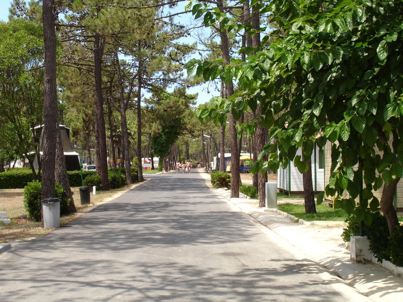 Parque De Campismo Orbitur Gala