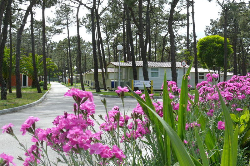 Parque De Campismo Orbitur Gala Campsite 3*