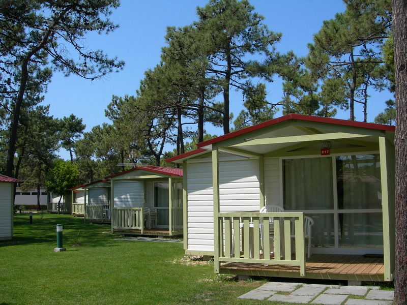 Parque De Campismo Orbitur Gala Campsite 3*