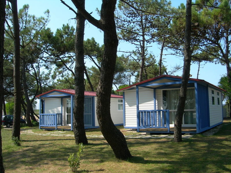 Parque De Campismo Orbitur Rio Alto Campsite