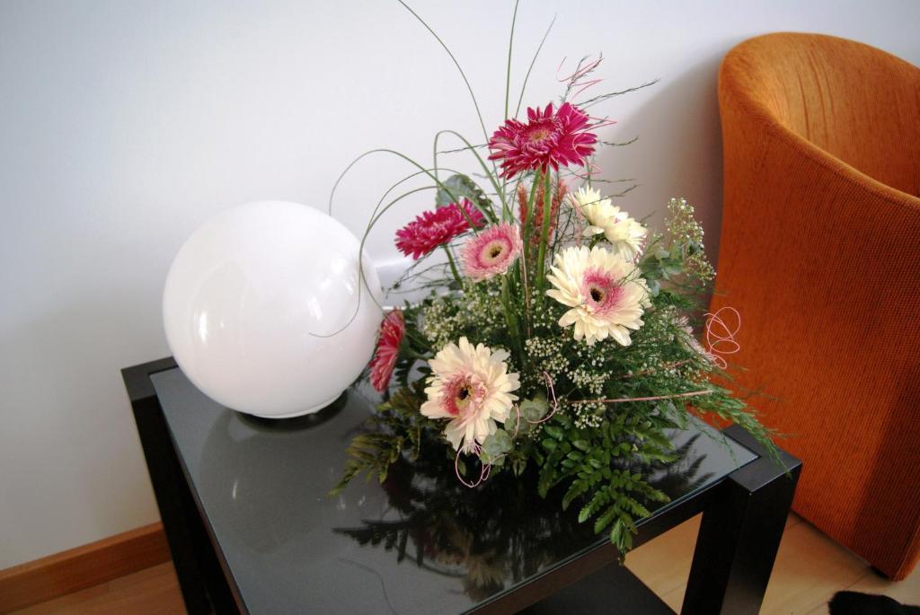 Alojamento Alboi Bed & Breakfast Aveiro