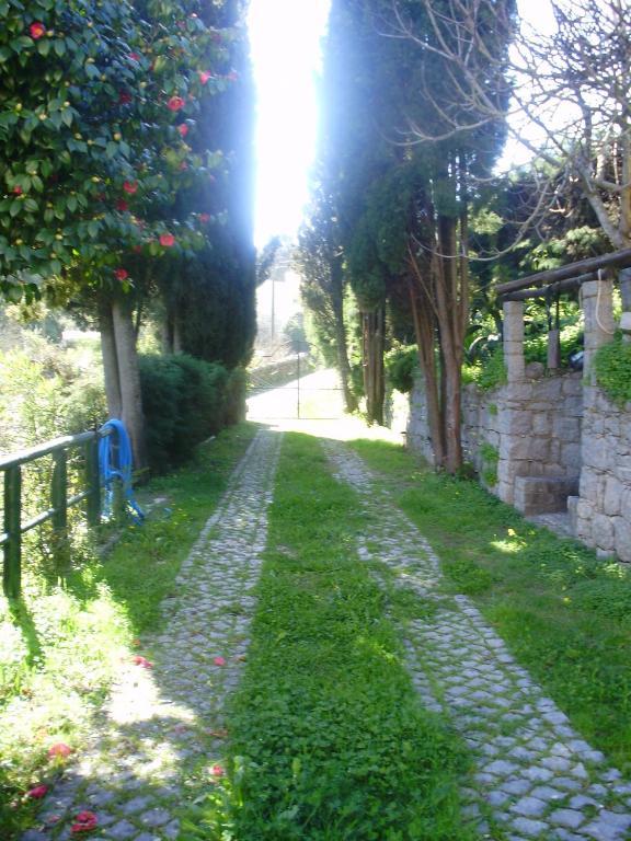 Bica Boa Bed & Breakfast *