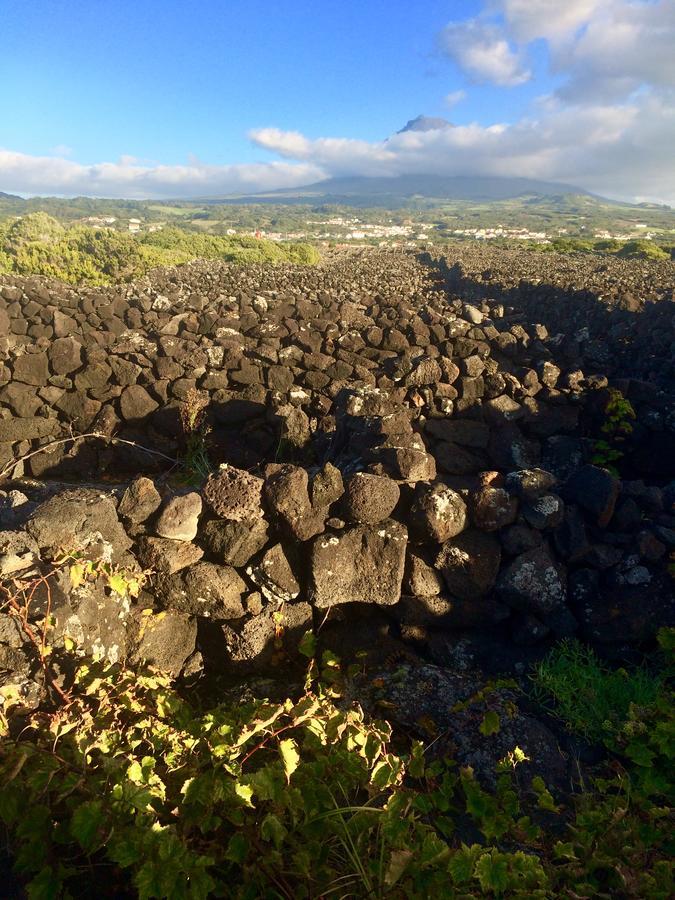 Bed & Breakfast Da Madalena Madalena (Azores)