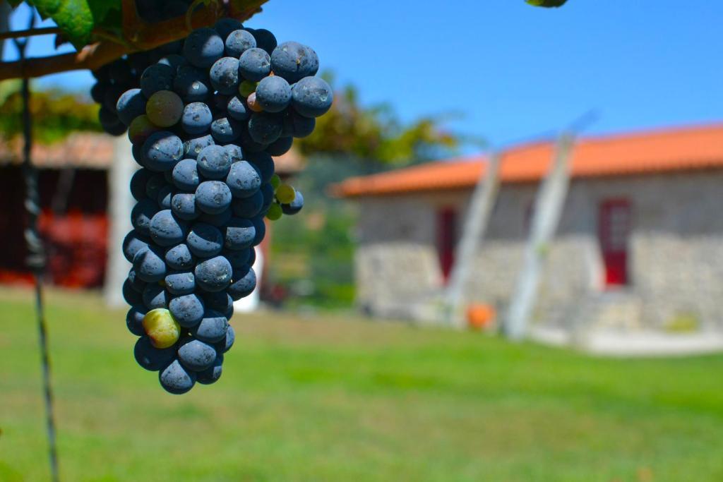 Quinta Do Olival Country house
