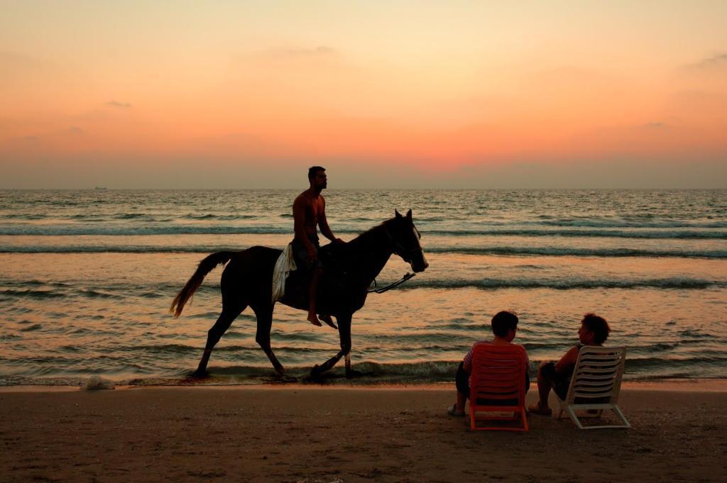 Mare Apartamento Nazaré