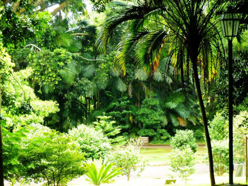 Casa Do Jardim