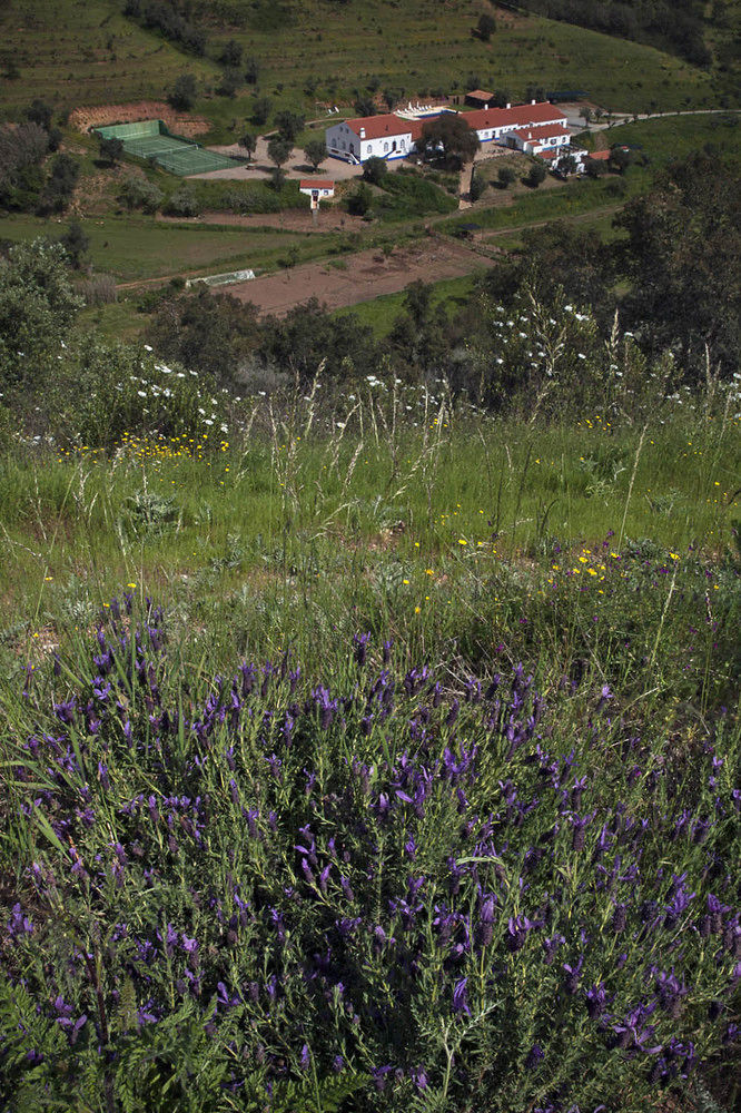 Quinta Do Chocalhinho & Landhuis Odemira