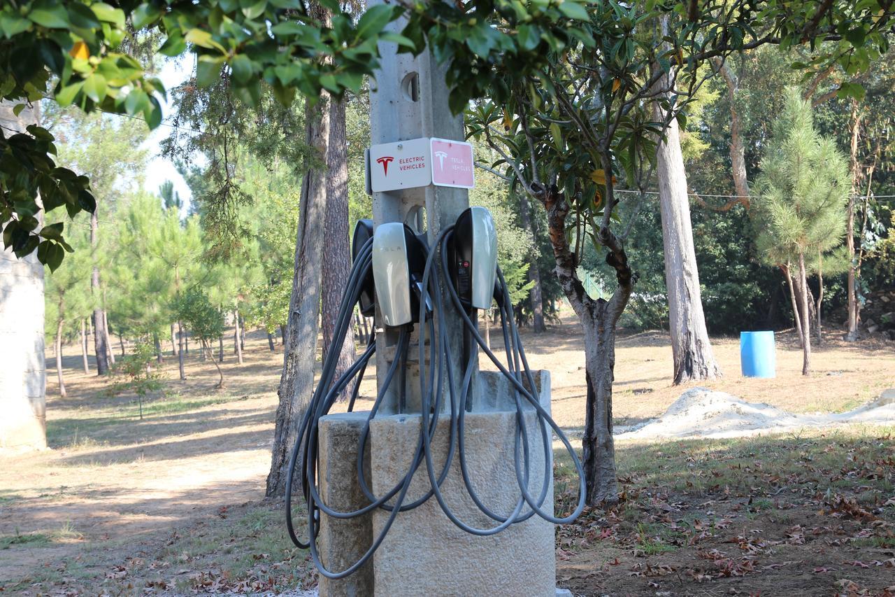 Tapada De Sao Domingos