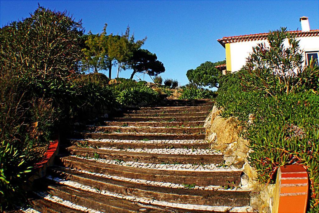 Quinta Da Torre - Country house Obidos