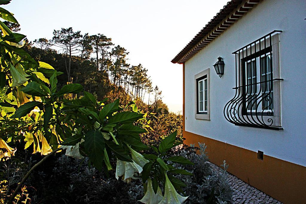 Country house Quinta Da Torre - Obidos